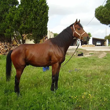 Cuile De Molino Séjour à la ferme Porto Torres