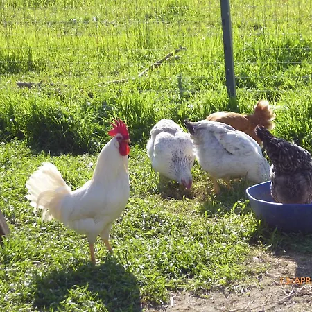 Séjour à la ferme Cuile De Molino