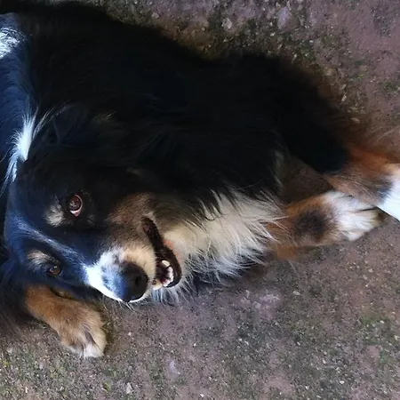 Cuile De Molino Porto Torres