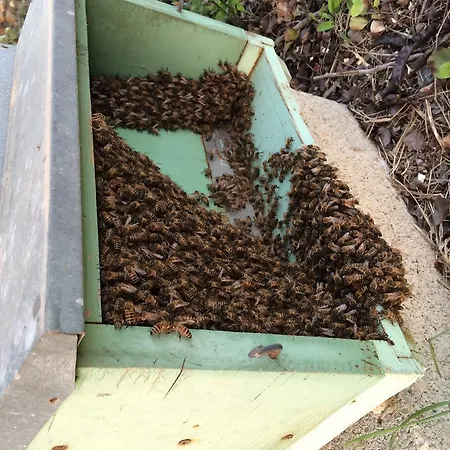 Séjour à la ferme Cuile De Molino