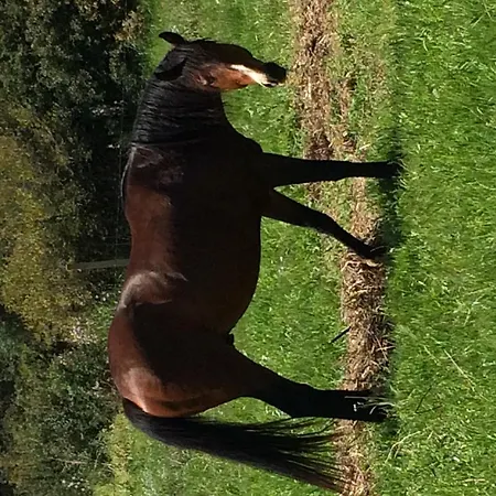 Cuile De Molino Séjour à la ferme *