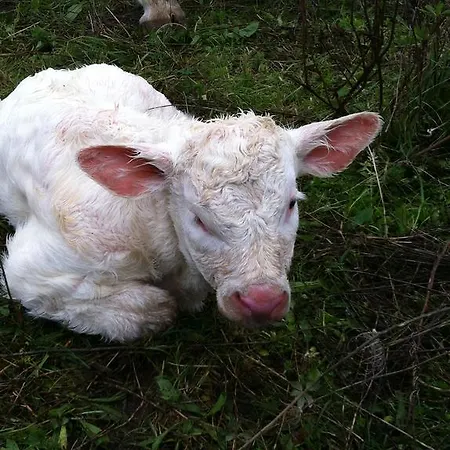Séjour à la ferme Cuile De Molino Porto Torres