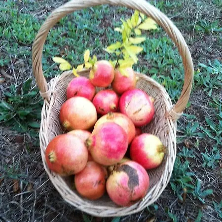 Cuile De Molino Farmház Porto Torres