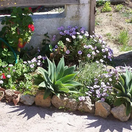 Farmház Cuile De Molino