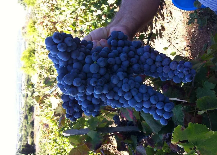 Cuile De Molino בית חווה *