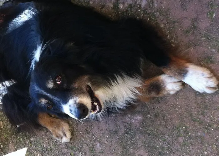 Cuile De Molino פורטו טורס