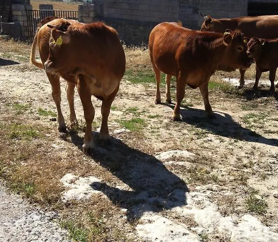 Cuile De Molino פורטו טורס