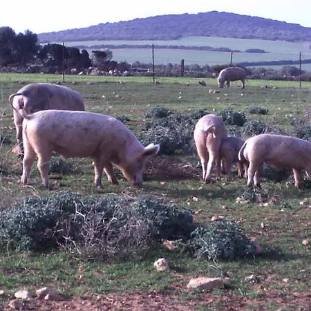 Cuile De Molino Farm stay Porto Torres