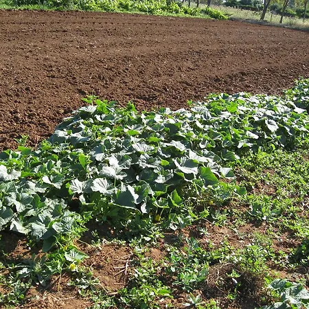 Cuile De Molino Alloggio per agriturismo