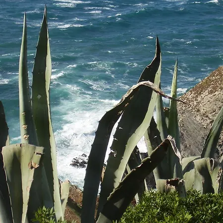 Cuile De Molino