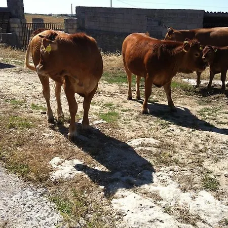 Cuile De Molino بورتو توريس