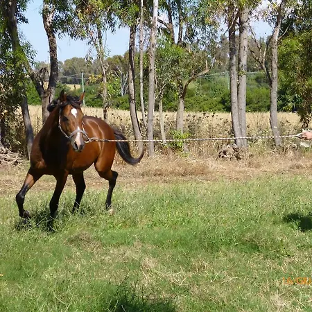 Cuile De Molino