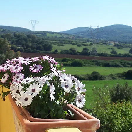 Cuile De Molino بورتو توريس