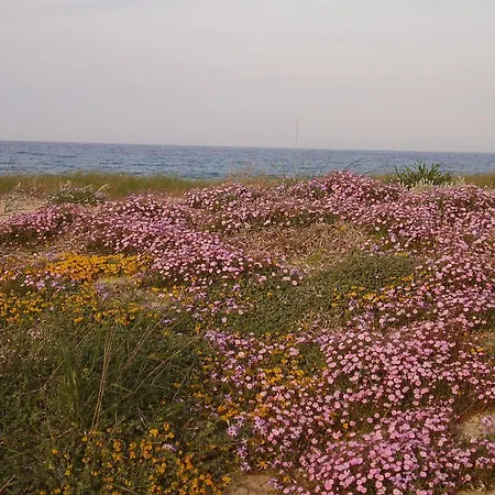 Cuile De Molino بورتو توريس