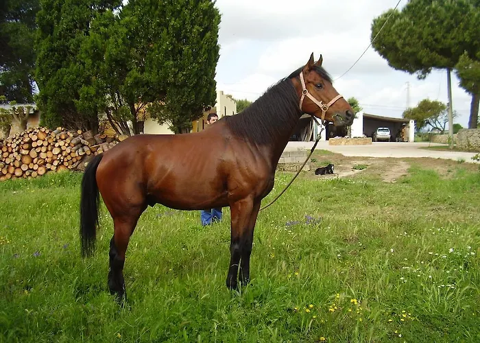 Cuile De Molino Agroturismo Porto Torres