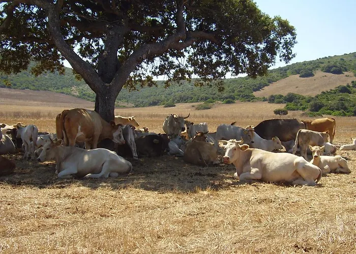 Cuile De Molino Agroturismo