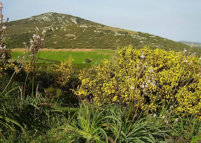 Bauernhof Cuile De Molino