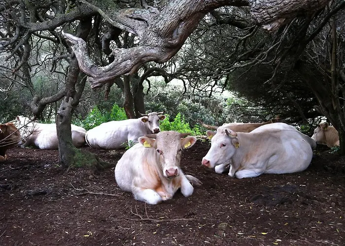 Agroturismo Cuile De Molino Porto Torres