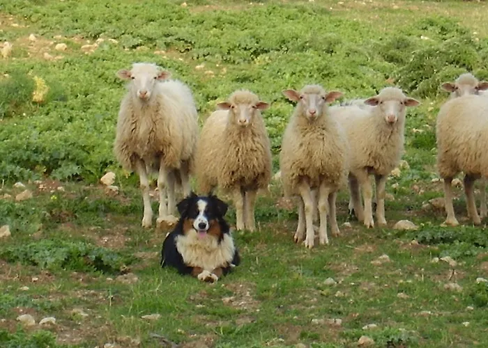 Agroturismo Cuile De Molino