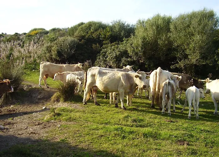 Cuile De Molino Bauernhof Porto Torres